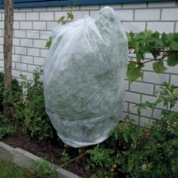 Trebor Netkaná textília Climatic 17g/m2 Biela 1,6x10m 2006270