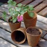 Trebor Pestovateľské nádobky o6cm BIO 160000