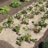 Trebor Pokrývka pôdy FLAXHEMP 0,49x3m prírodná BIO 2017016