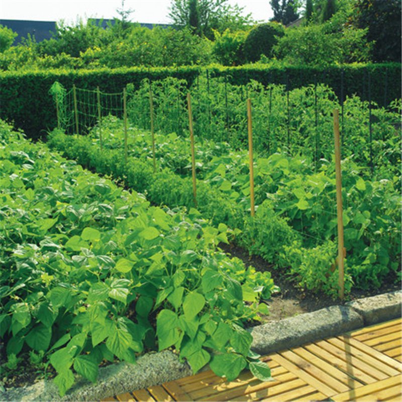 Trebor Sieť podporná oko 15x15cm Zelená 1,5x100m 2002886