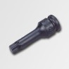 Trebor Hlavica 1/2&quot T25 TRX priemyselná zástrčná H78T25