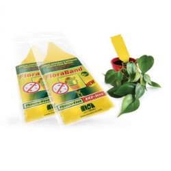 Trebor Lepové doštičky FloraBand 5ks/bl Floraband